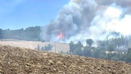 Kütahya'daki Yangında 60 Hektar Ormanlık ve 50 Hektar Tarım Alanı Zarar Gördü
