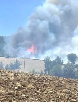 Kütahya'daki Yangında 60 Hektar Ormanlık ve 50 Hektar Tarım Alanı Zarar Gördü
