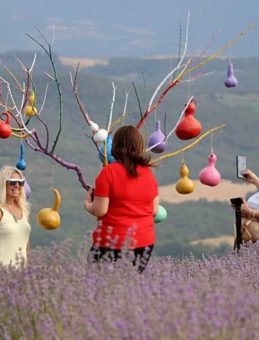 Lavanta Festivalinde Renk Cümbüşü