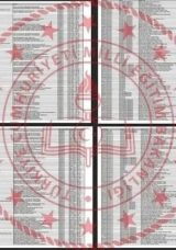 LGS Anadolu Lisesi Taban Puanları ve Y&uuml;zdelik Dilimleri 2025: İstanbul, Ankara, İzmir Anadolu Lisesi Taban Puanları, Kontenjanlar