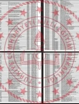 LGS Anadolu Lisesi Taban Puanları ve Yüzdelik Dilimleri 2025: İstanbul, Ankara, İzmir Anadolu Lisesi Taban Puanları, Kontenjanlar