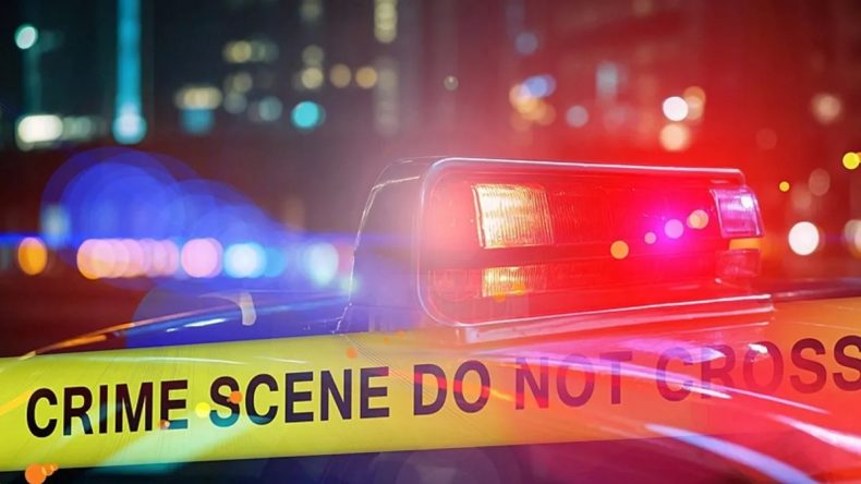 Los Angeles'ta Araç Kalabalığa Dalınca: 20'den Fazla Yaralı