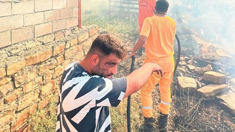 ‘Orman değil, geçmişimiz yandı’