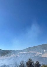 Manisa'daki Orman Yangını Kontrol Altına Alındı