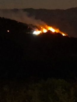 Manisa'daki Yangına Müdahale Devam Ediyor! Alevler Uşak Sınırına Ulaştı