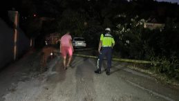 Marmaris'te Arının Sebep Olduğu Kaza: 1 Ölü, 4 Yaralı