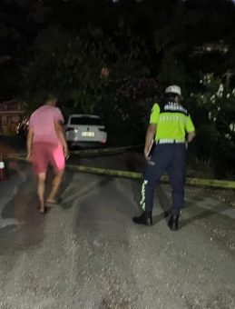 Marmaris'te Arının Sebep Olduğu Kaza: 1 Ölü, 4 Yaralı