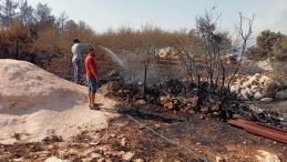 Mersin Silifke'de Orman Yangını!