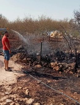 Mersin Silifke'de Orman Yangını!