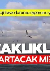 MGM A&ccedil;ıklama Yayımladı! Hava Sıcaklıkları Y&uuml;kseliyor mu? T&uuml;rkiye'de 6 G&uuml;n S&uuml;recek &Ccedil;&ouml;l Sıcakları Bekleniyor