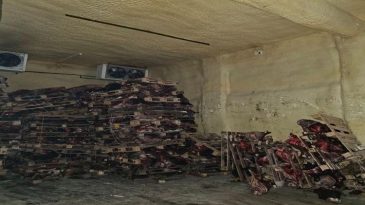 Mide Bulandıran G&ouml;r&uuml;nt&uuml;: Piyasaya S&uuml;r&uuml;lmeye Hazırlanan &Ccedil;&uuml;r&uuml;m&uuml;ş Hayvan Kafaları Bulundu