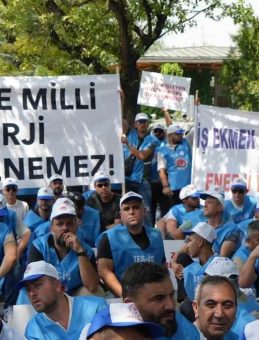 Milaslı Muhtarlar ve TES-İŞ’ten Maden Yasasına Destek: 'Köylerimiz ve zeytinlerimiz yok olmayacak'