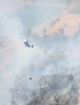Milas’ta Tarım Alanında Yangın Meydana Geldi