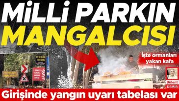 Milli Parkta Mangal Yangını… Bizi Ezdik&ccedil;e İ&ccedil;i Yakan Bir Ger&ccedil;ek