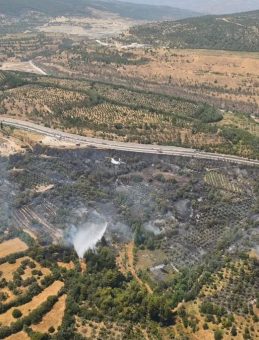 Muğla’da çıkan orman yangını kontrol altında