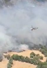 Muğla&rsquo;da Orman Yangını Meydana Geldi