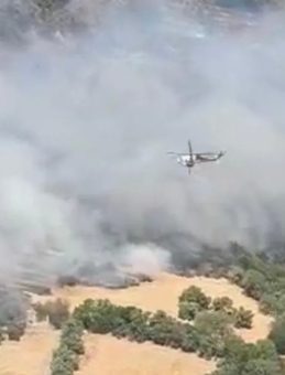 Muğla’da Orman Yangını Meydana Geldi