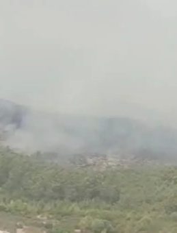 Muğla’da Yıldırım Nedeniyle Orman Yangını Başladı
