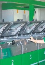 Mut Zeytinyağı D&uuml;nya Pazarında