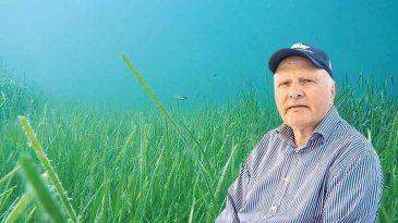 M&uuml;silajda Sevindirici Gelişme: Denizler Rahatladı