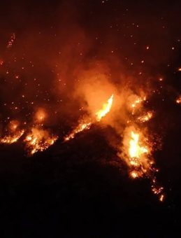 O anlar saniye saniye kamerada! A Haber ekibi Hatay'da alevlerin ortasında kaldı