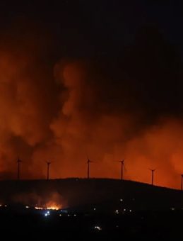 OGM'den Şarköy'deki Orman Yangınına İlişkin Açıklama: Enerjisi ve Hızı Düştü