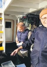 Oksijensizlik K&ouml;pek Balıklarını Kıyılara İtme Riski Teşkil Ediyor