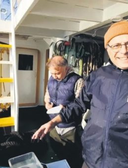 Oksijensizlik Köpek Balıklarını Kıyılara İtme Riski Teşkil Ediyor