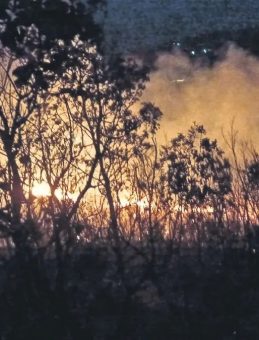 Orman Yangınlarına Anında Müdahale