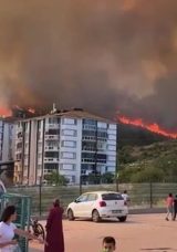 Ormanlık Alanda &Ccedil;ıkan Yangın Kontrol Altına Alındı, Soğutma &Ccedil;alışmaları S&uuml;r&uuml;yor
