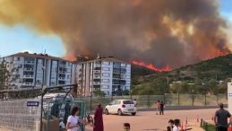 Ormanlık Alanda Çıkan Yangın Kontrol Altına Alındı, Soğutma Çalışmaları Sürüyor