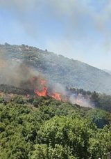 Osmaniye'deki Orman Yangını Kontrol Altına Alındı