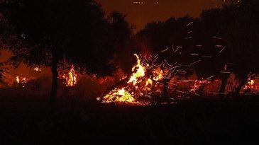 &Ouml;demiş'te Orman Yangınına M&uuml;dahale Devam Ediyor