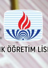A&Ouml;L Sınav Yerleri A&ccedil;ıklandı! 2025 MEB A&Ouml;L Sınav Giriş Belgesi Sorgulama Ekranı