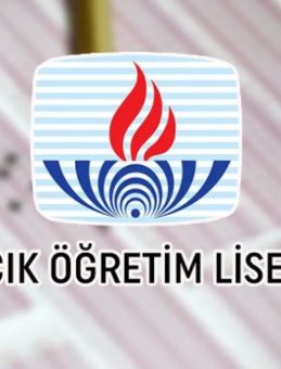 AÖL Sınav Yerleri Açıklandı! 2025 MEB AÖL Sınav Giriş Belgesi Sorgulama Ekranı