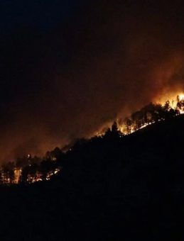 Ovacık'taki Orman Yangını Yeniden Büyüdü