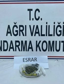 Patnos ve Doğubayazıt’ta uyuşturucu operasyonu! 2 şüpheli gözaltına alındı