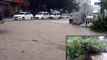 Sağanak Yağış Caddeleri G&ouml;z G&ouml;z G&ouml;l Haline Getirdi! Ağa&ccedil; Ara&ccedil; &Uuml;zerine Devrildi