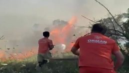 Sakarya'da Ağaçlık Alanda Çıkan Yangın Kontrol Altına Alındı