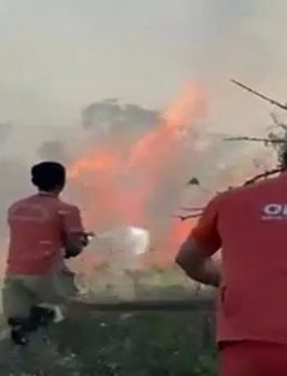 Sakarya'da Ağaçlık Alanda Çıkan Yangın Kontrol Altına Alındı