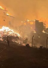 Sakarya'da Orman Yangını Bir K&ouml;ye Ulaştı