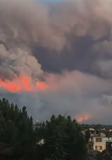 Sakarya'da Orman Yangını: İki Mahalle Tahliye Edildi, &Uuml;&ccedil; Ev Yandı