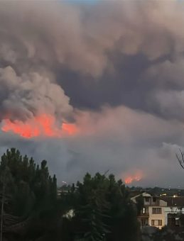 Sakarya'da Orman Yangını: İki Mahalle Tahliye Edildi, Üç Ev Yandı