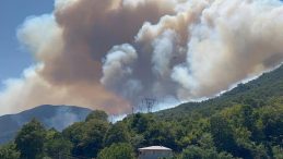 Sakarya'da Orman Yangınlarıyla İlgili Paylaşım Yapan Meclis Üyesi Gözaltına Alındı