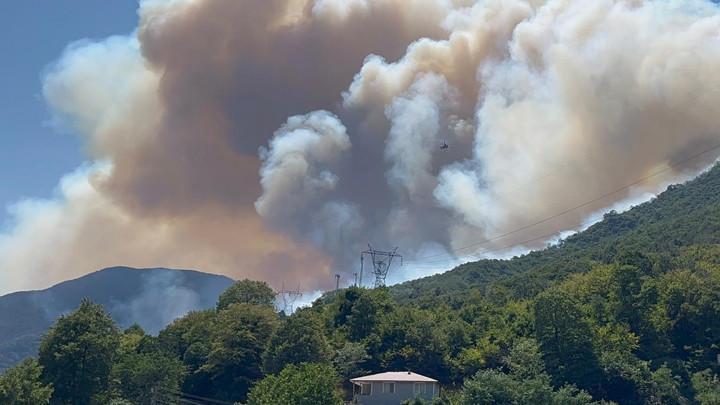 Sakarya'da Orman Yangınlarıyla İlgili Paylaşım Yapan Meclis Üyesi Gözaltına Alındı