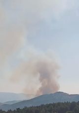 Sandıklı ve Hocalar Arasında Orman Yangını