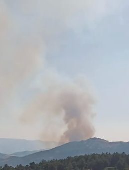 Sandıklı ve Hocalar Arasında Orman Yangını