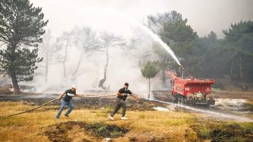 Sarıcaova Direnişi