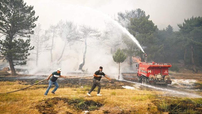 Sarıcaova Direnişi