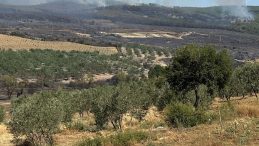 Şarköy'de Boşaltılan Evlerde Yeniden Giriş İzni Verildi